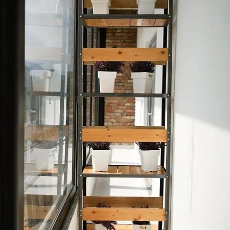 Ora * Гирокастра