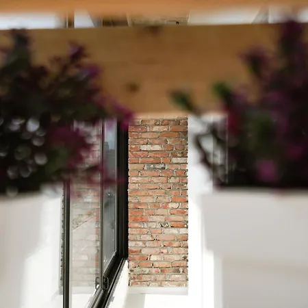 Apartment Ora *